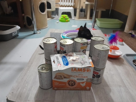 Centrum 1. pomoci pro kočky, z. s.